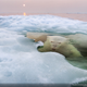 Illustration for article titled These are National Geographic's favorite images of the year
